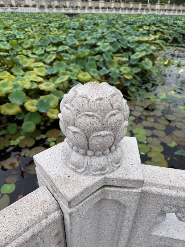 司馬翊遊記|福建廈門·南普陀寺2