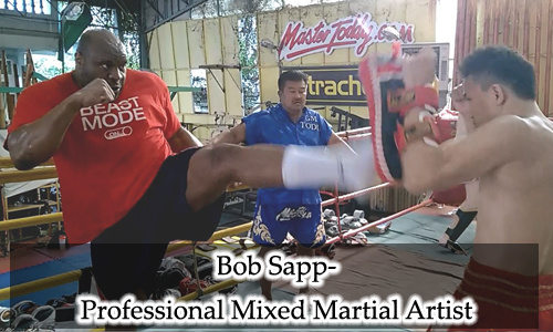 bob-sapp-caption-500x350