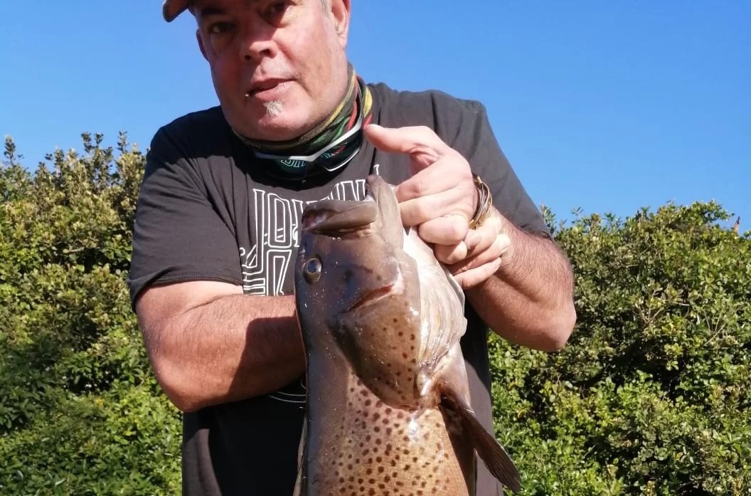 Jason Catface Rockcod