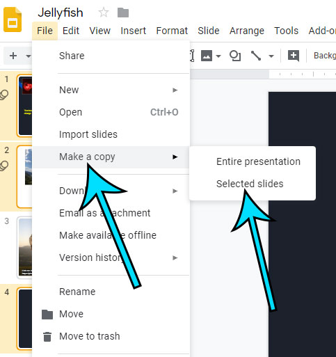 click on Make a copy, then click Selected slides