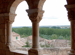 image (21)