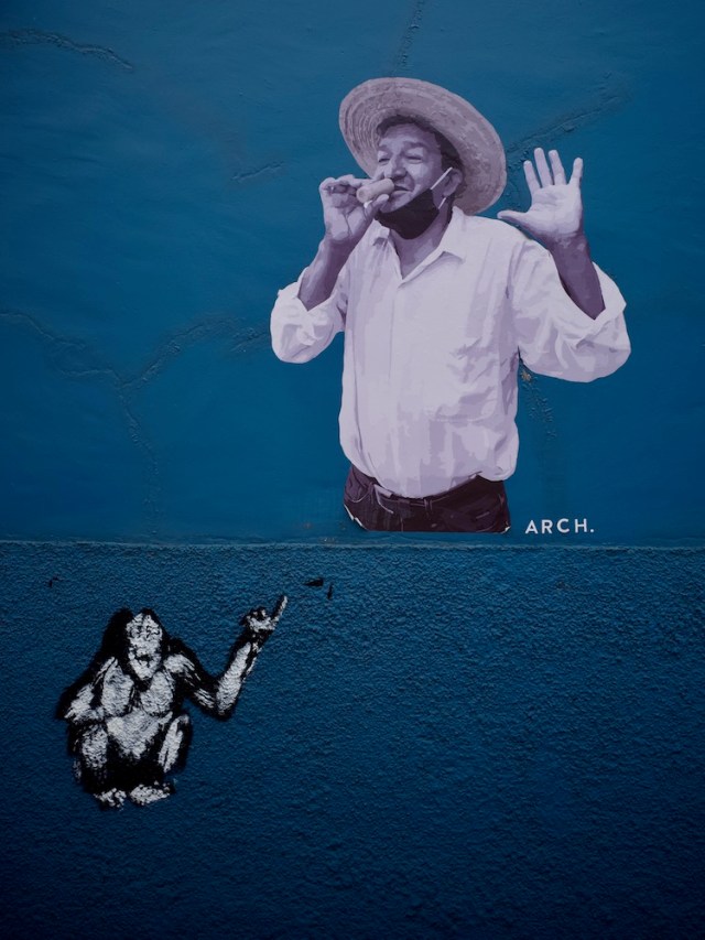 Oaxaca, Centro historico, mural, a man with a face mask