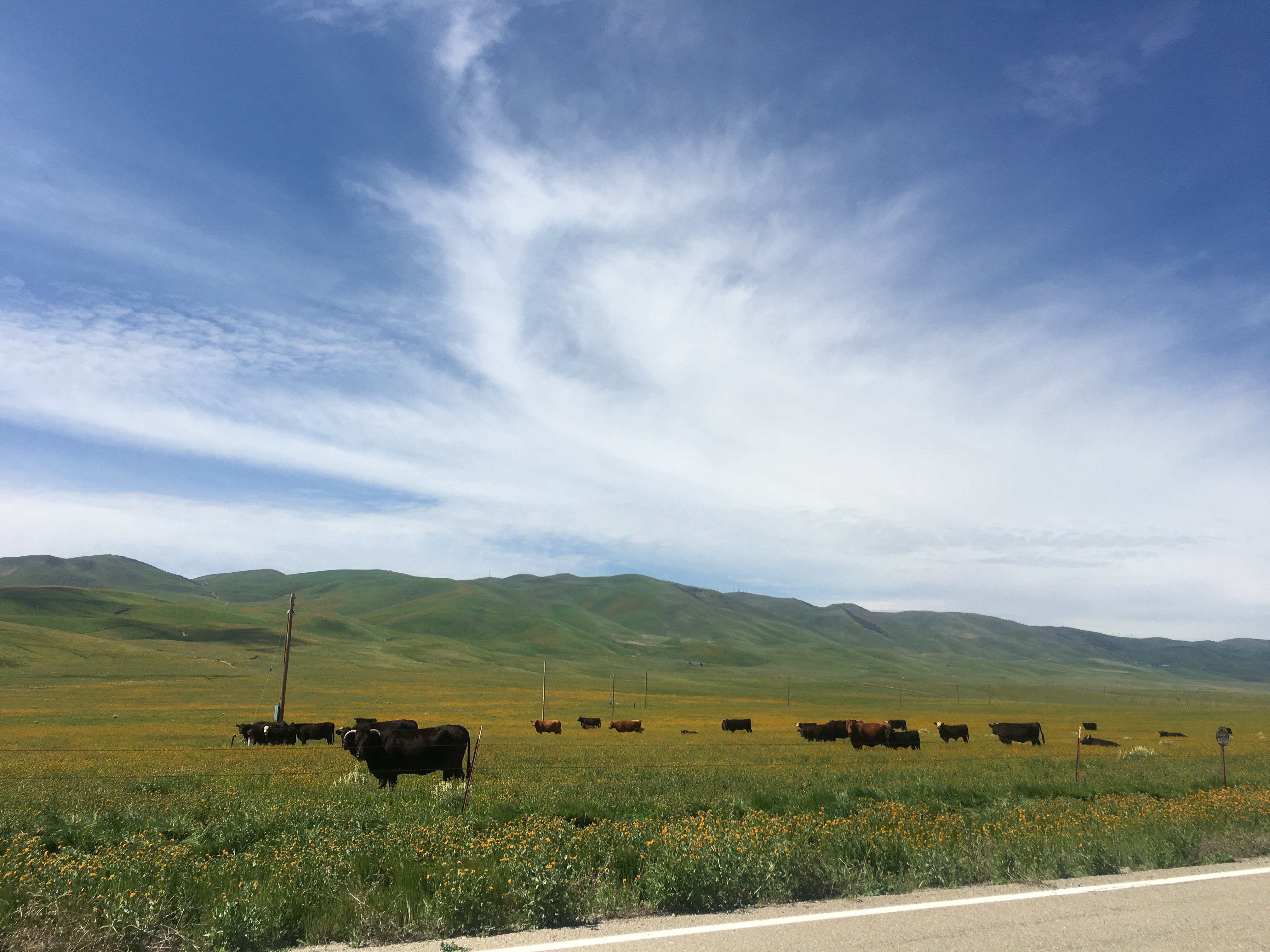 California Route 58