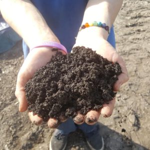 Topsoil