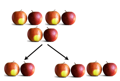 Many Apples Math Bob is learning calculation