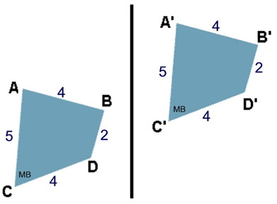 Basic Translation Practice Mathbitsnotebook Jr - Colorful Photos - Artistic HD Collection