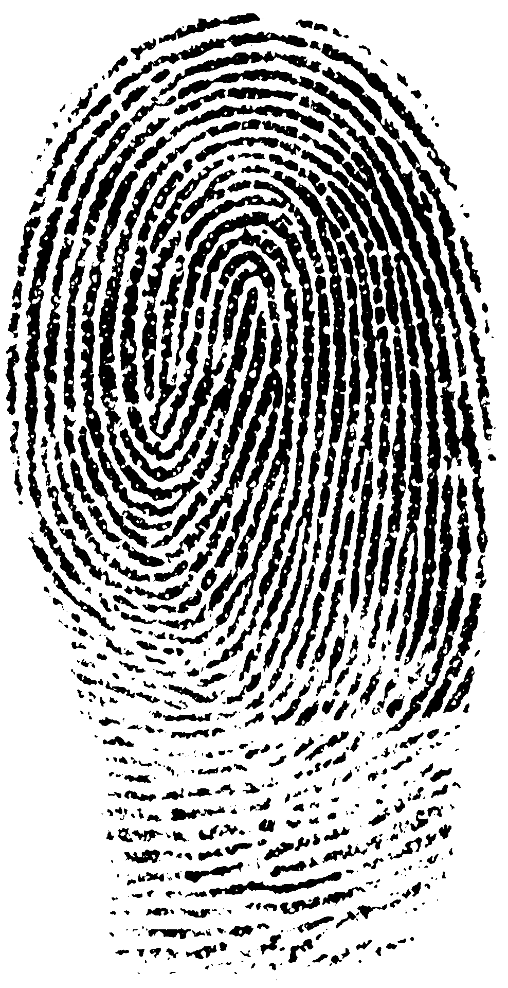 are fingerprints unique math