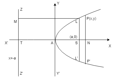 Different Types Of Parabola Equations Mathemerize