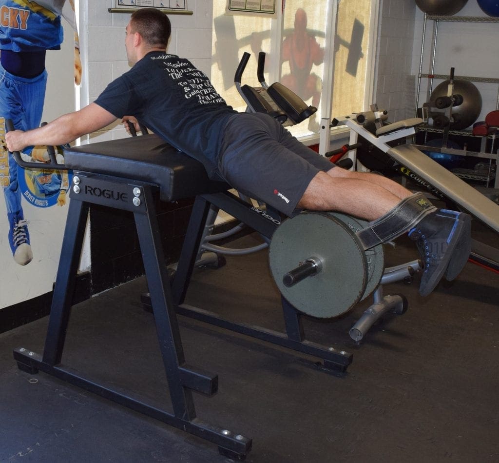 Reverse Hyperextension Machine 4