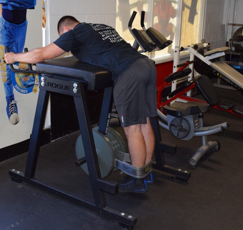 Reverse Hyperextension Machine 2