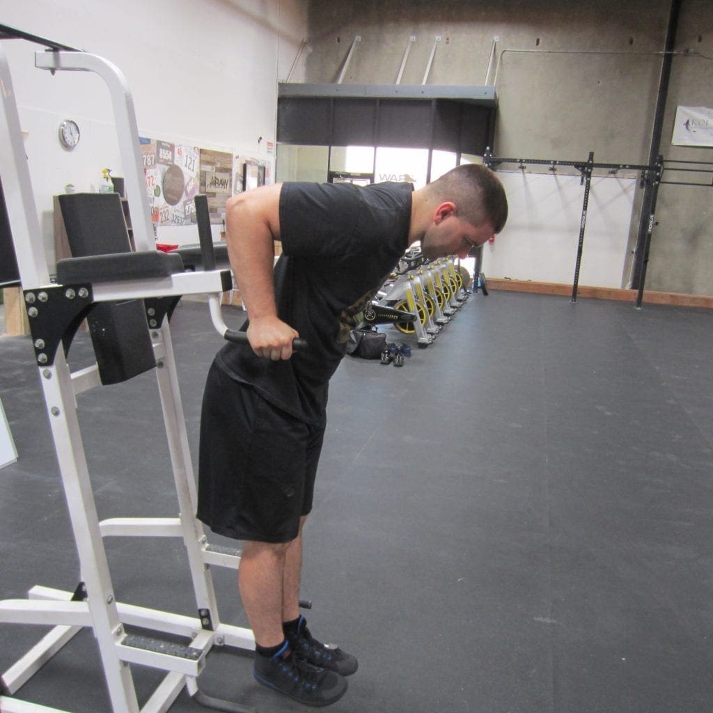 Bodyweight Dip Exercise 1