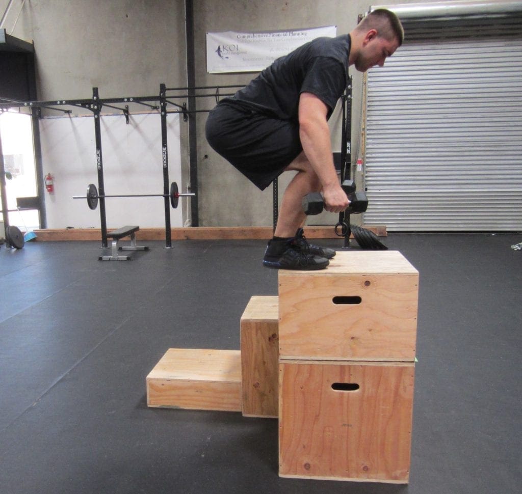 Weighted Box Jump Plyometric Exercise 2