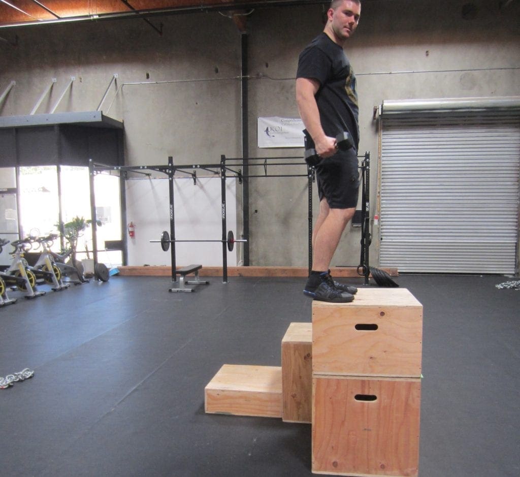 Weighted Box Jump Plyometric Exercise 1