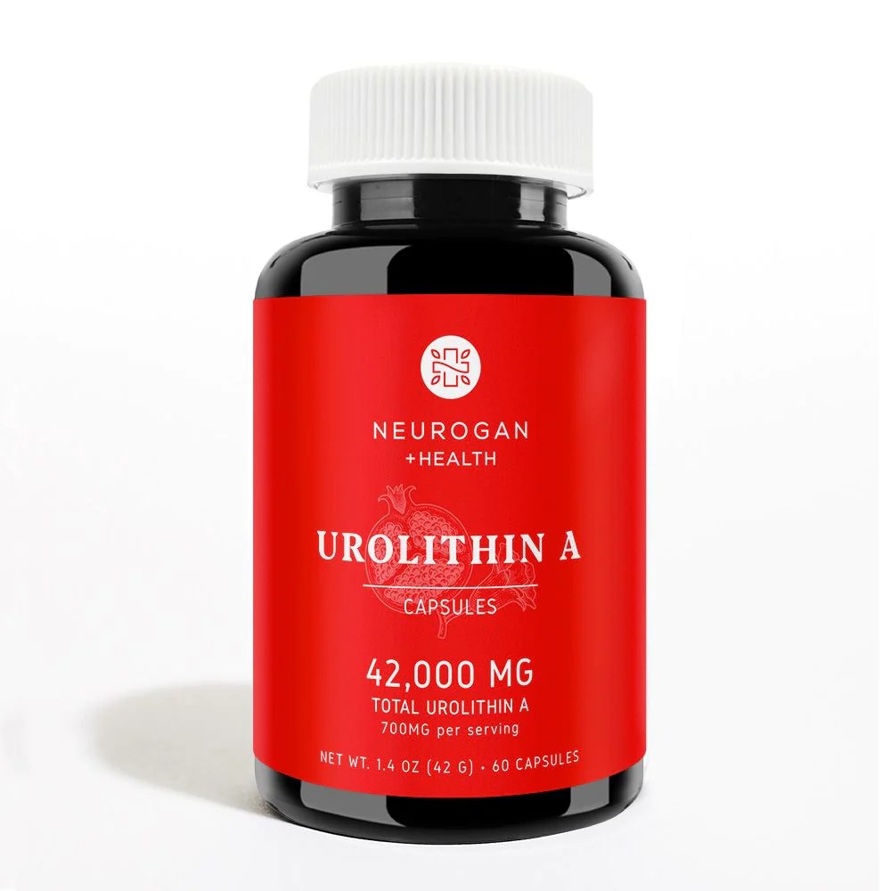 Urolithin A Supplement Pre-Workout