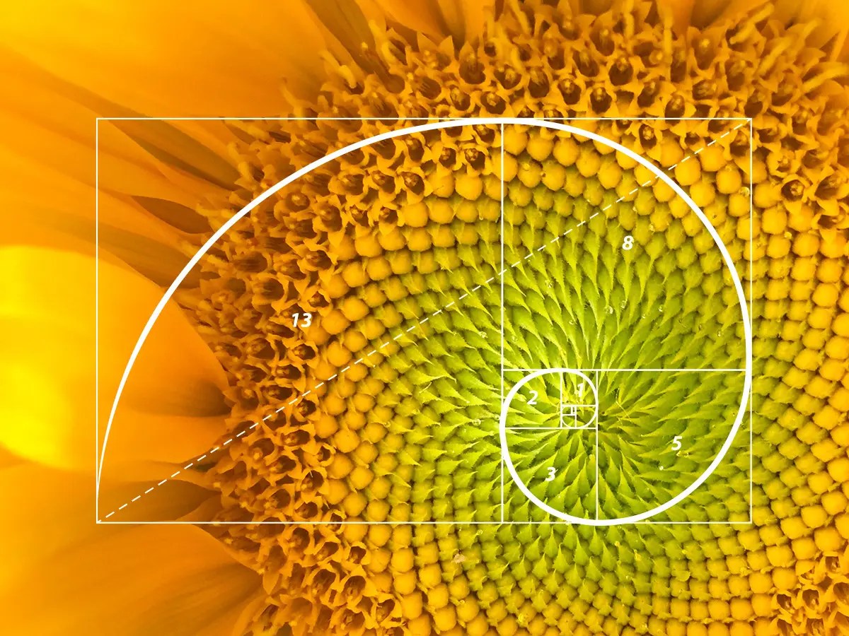 Unravel the Mystery of Fibonacci's Sequence: A Puzzle from the Past