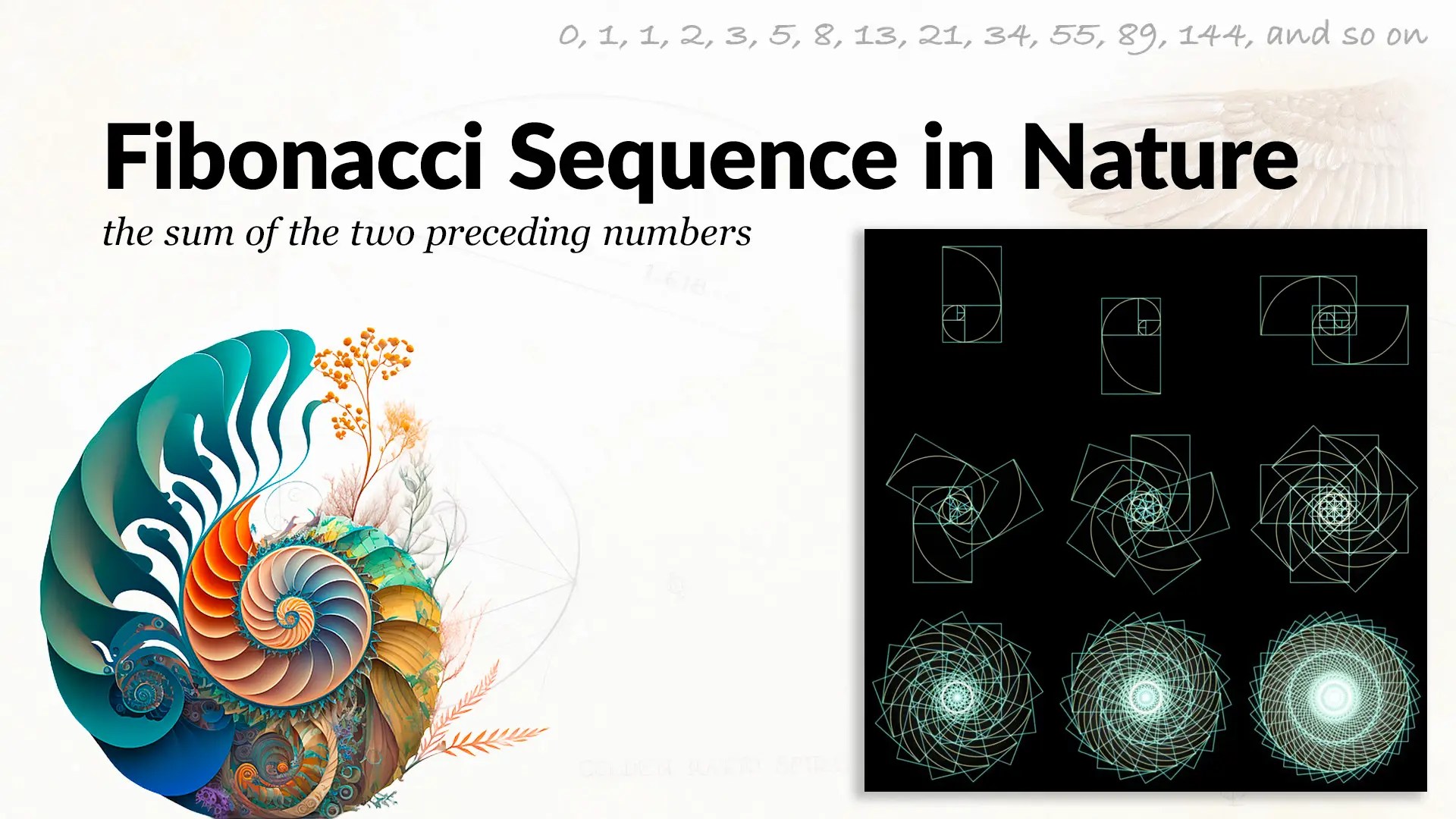 Counting on Curiosity: Exploring Number Sequences in Everyday Life