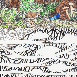 Explorer, aquarelle et stylo sur papier, 9 x 9 cm, 2013