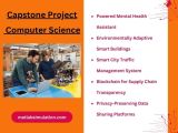 Capstone Project Topics For Computer Science