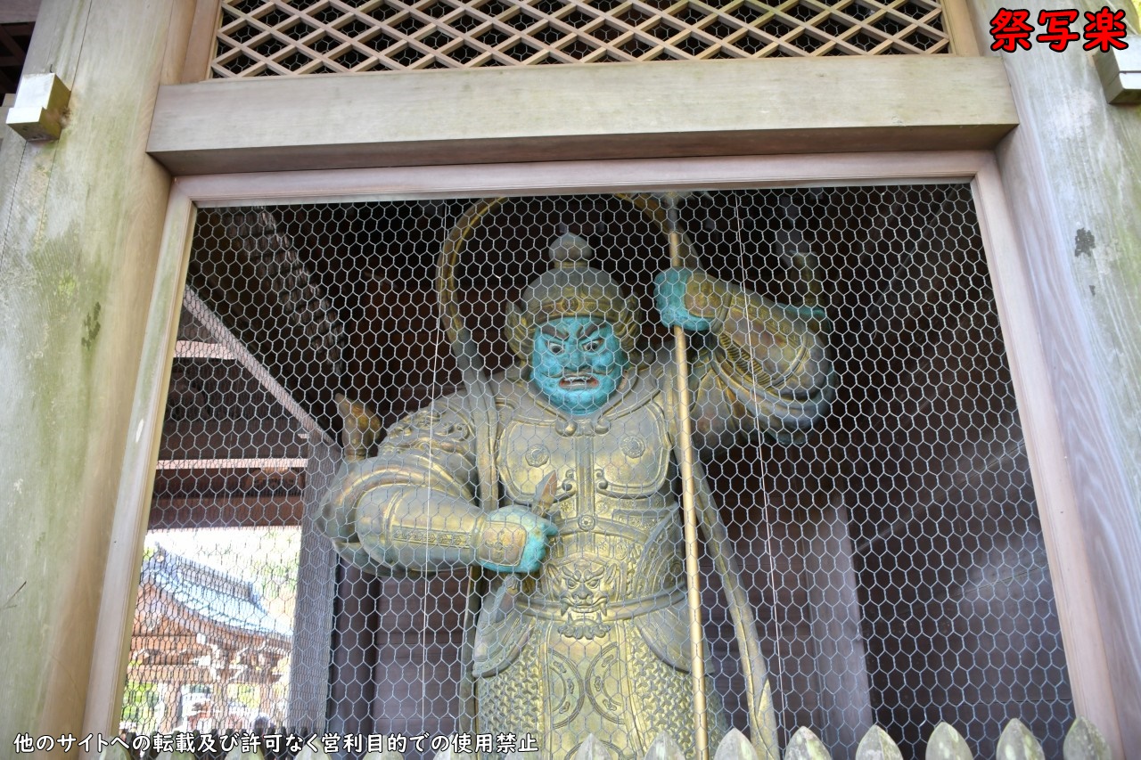 高尾山薬王院 | 龍巡り（関東編） | 祭写楽