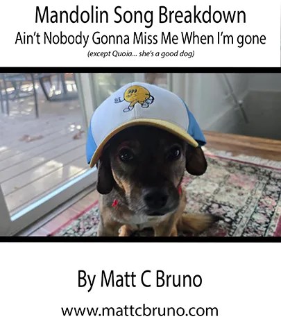 MandolinBreakdown_AintNobodyGonnaMissMe 2