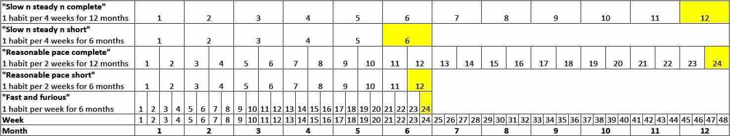Dense Text Excel Chart Of Implementation Timelines Ranging From Six To Twelve Months Taking On Anywhere From One Habit Per Week To One Per Month