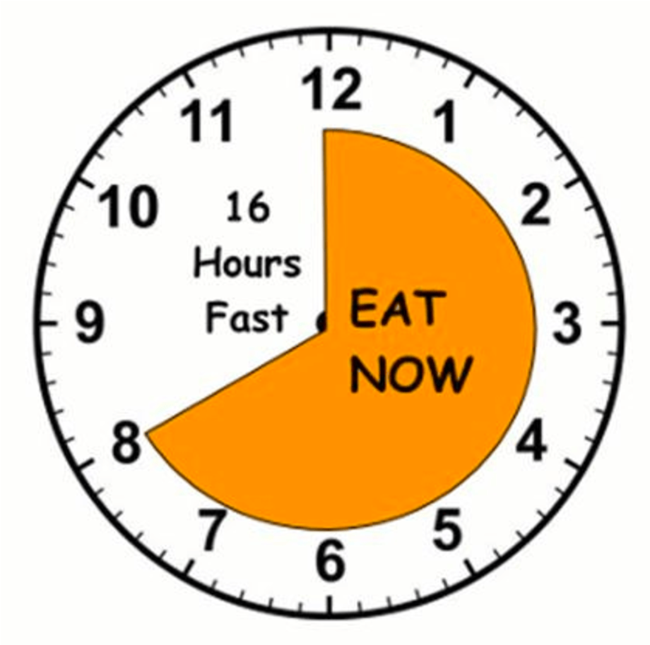 Clock showing eights hours to eat and sixteen hours to fast