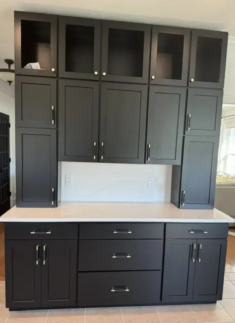 Custom black built-in cabinetry with glass-front uppers