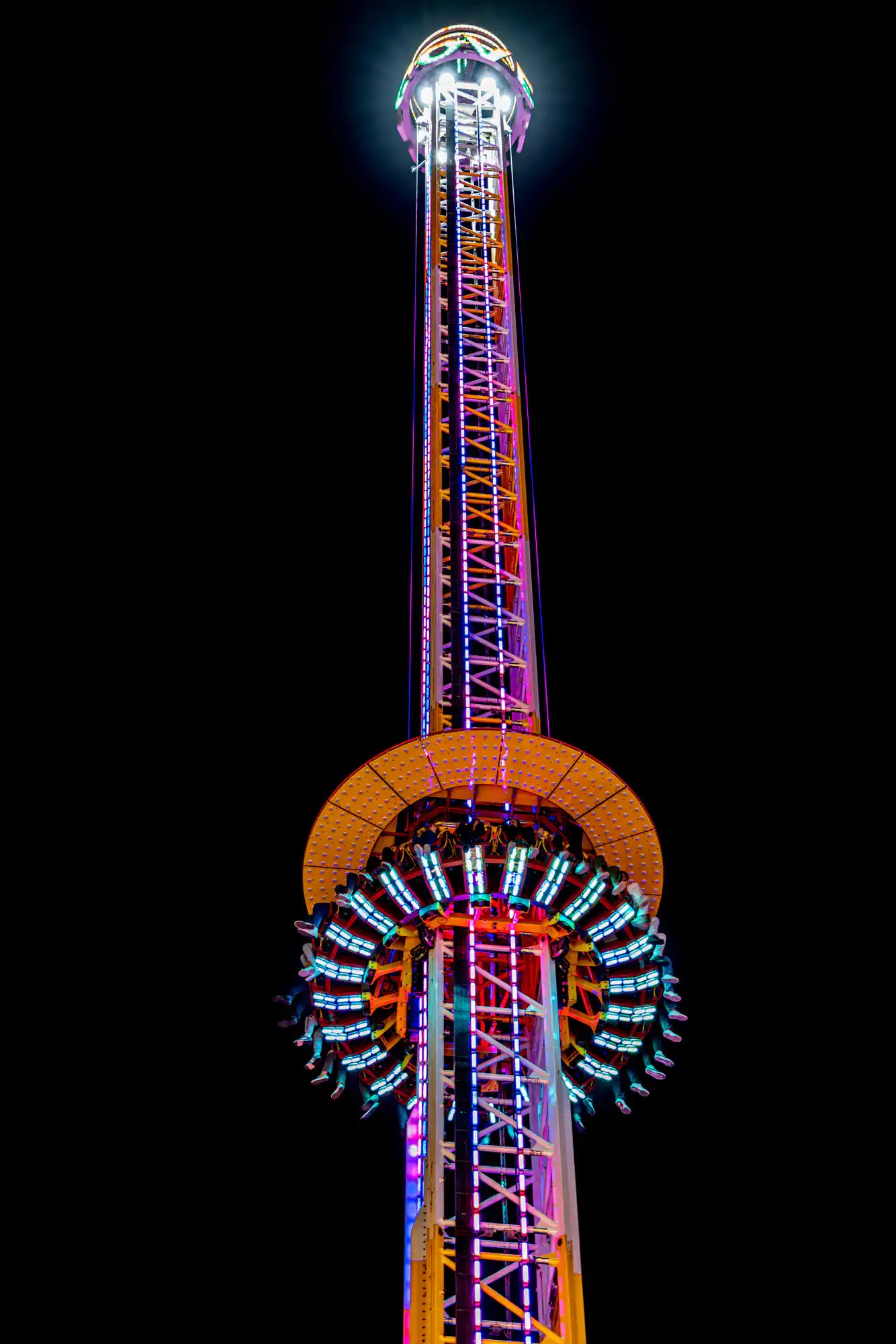 Web image: Freimarkt 11