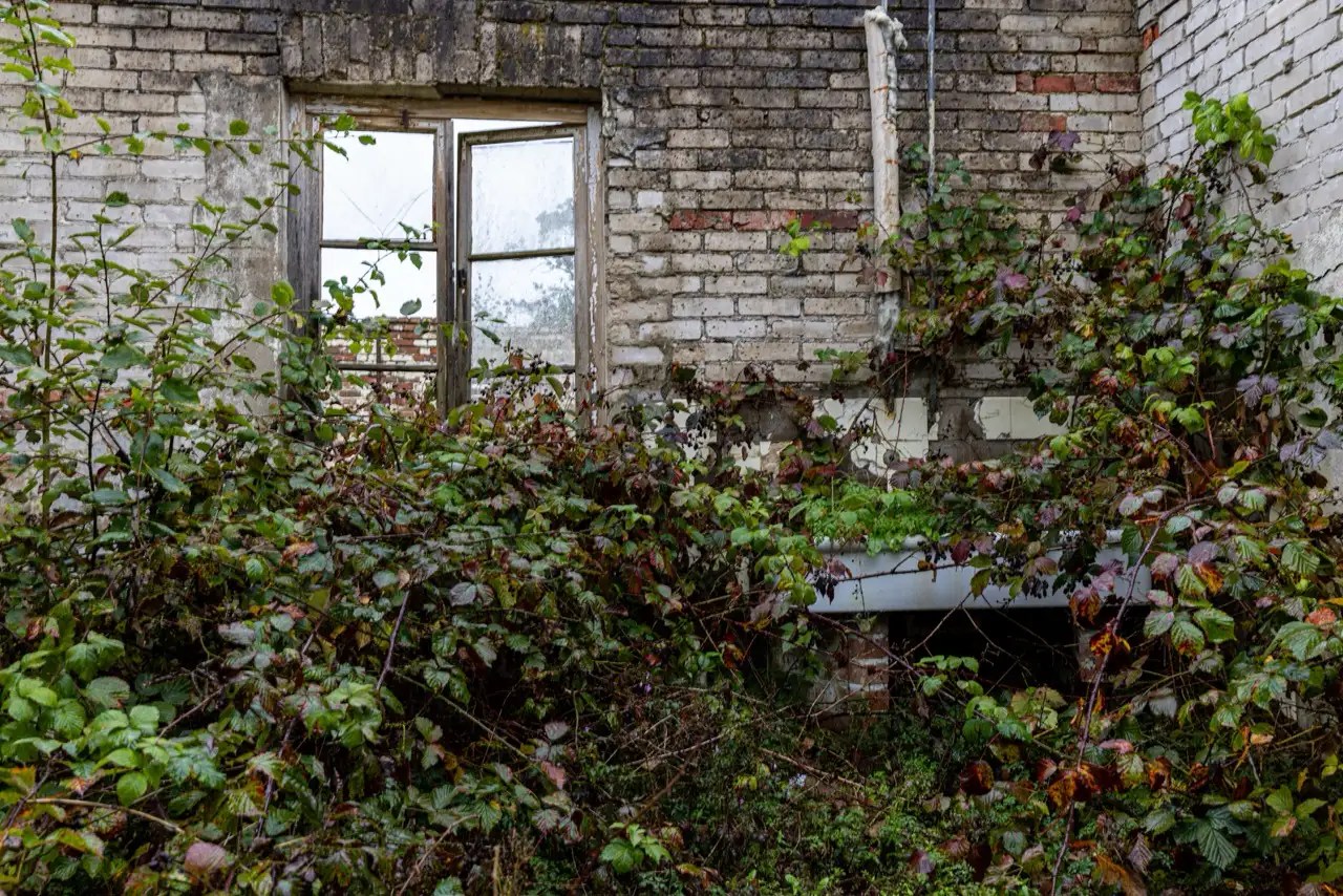 Web image: Sandbostel 19