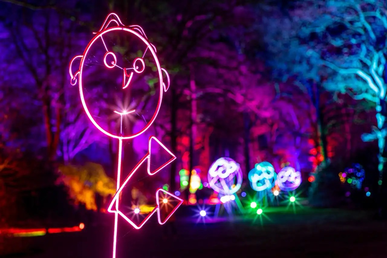 Web image: LightUp 6