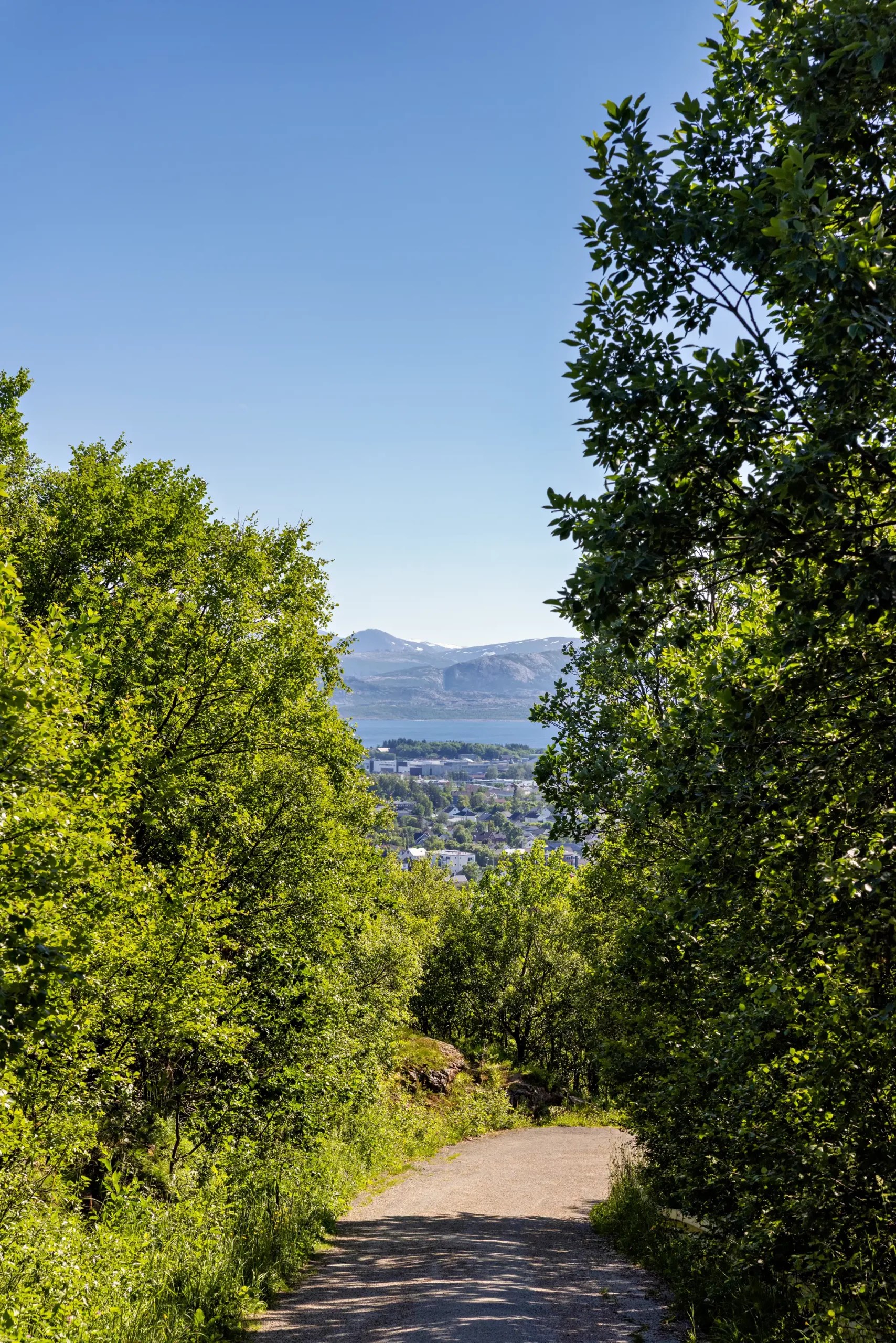 Wanderweg durch grüne Bäume mit Blick auf eine Stadt und Berge im Hintergrund unter klarem Himmel