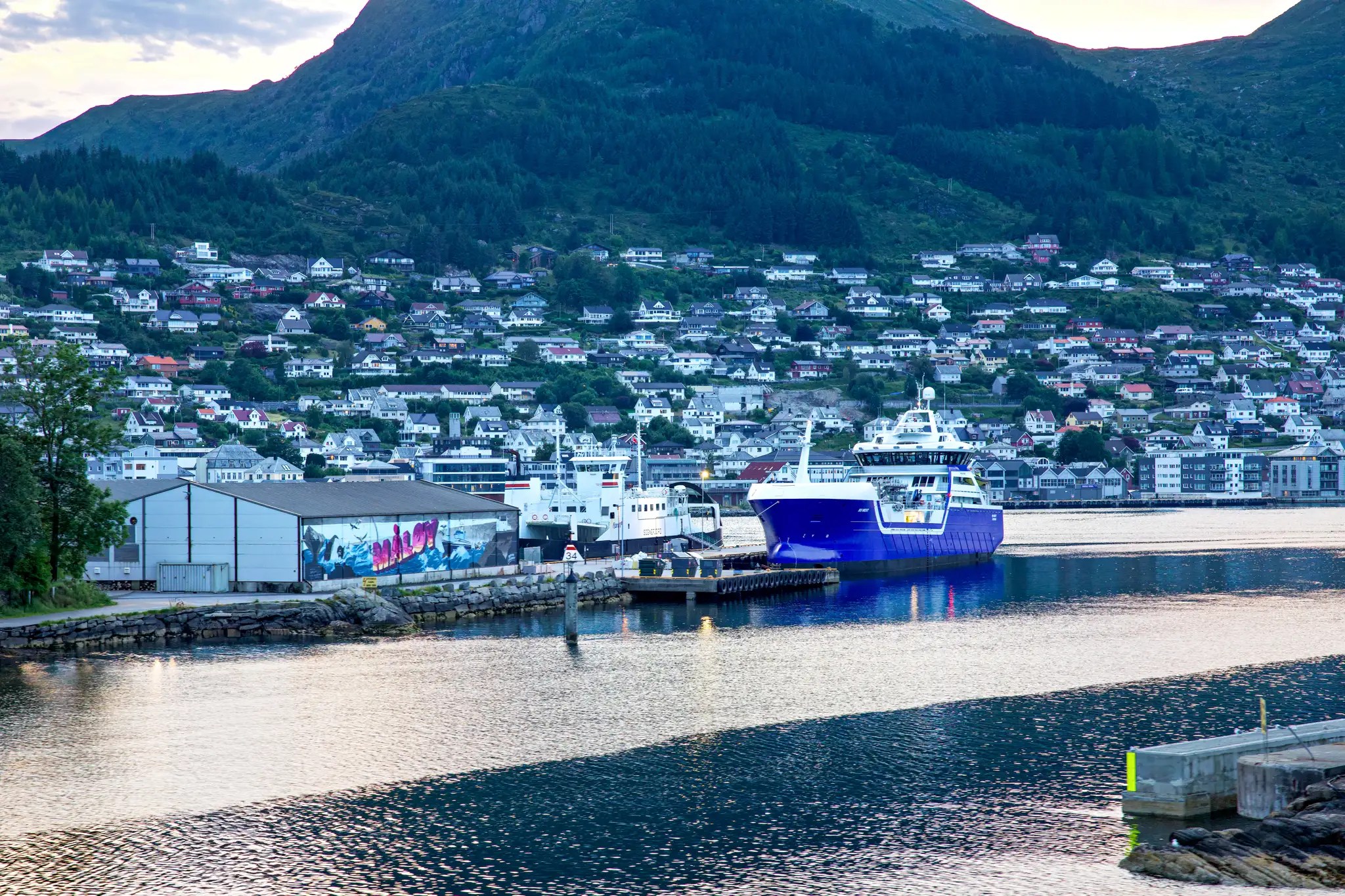 Fähren im Hafen vor einer Stadt mit vielen Häusern am Fuß eines bewaldeten Berges
