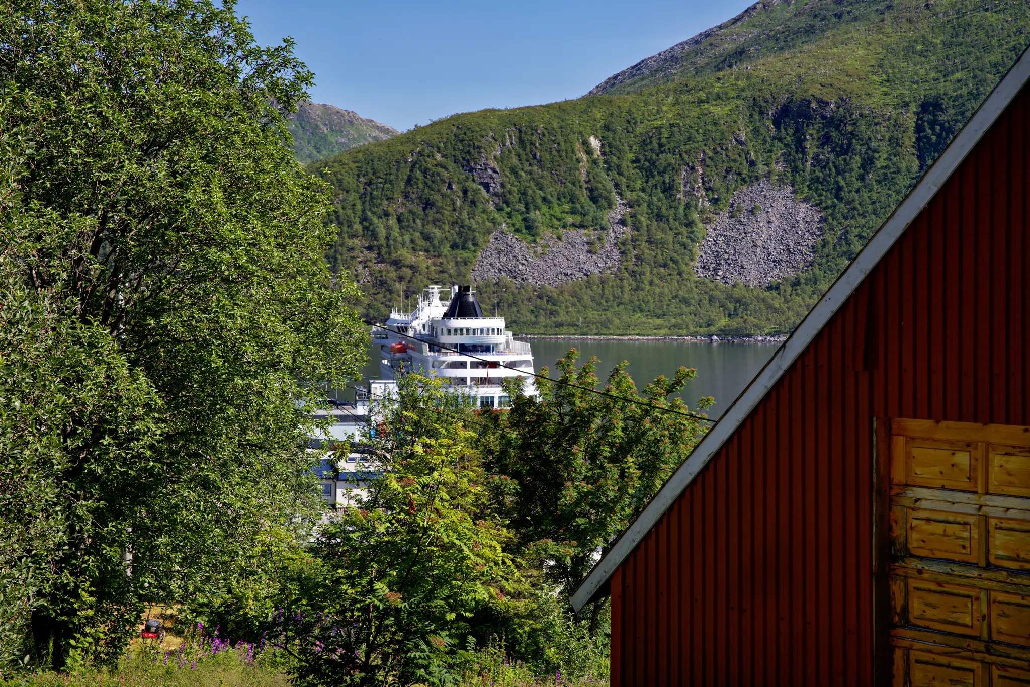 Hurtigruten-Kreuzfahrtschiff auf ruhigem Wasser vor bewaldeten Bergen, teilweise von Bäumen und einem roten Haus verdeckt