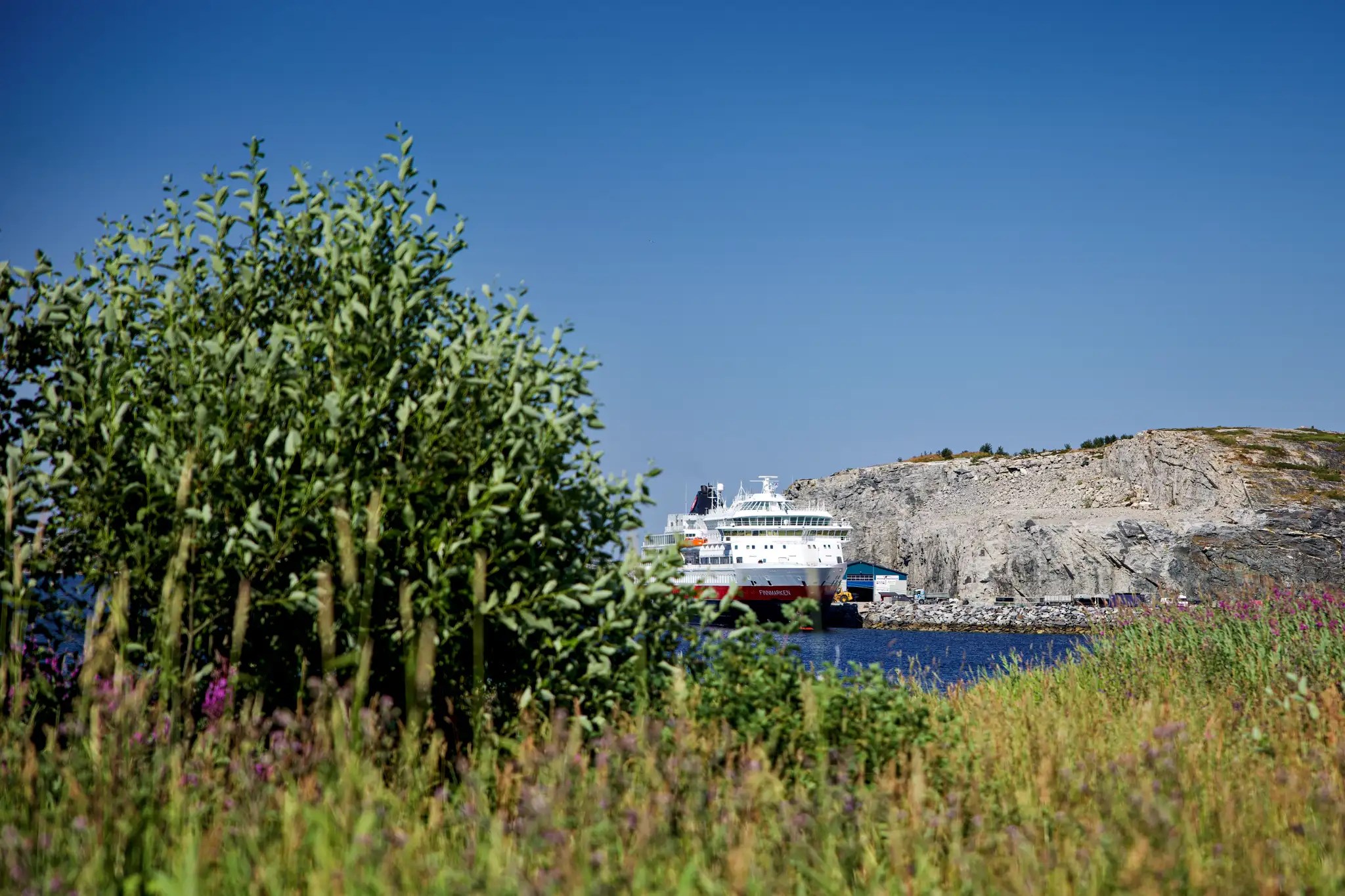 Hurtigruten-Kreuzfahrtschiff vor felsiger Küste, umgeben von grüner Vegetation und blauem Himmel