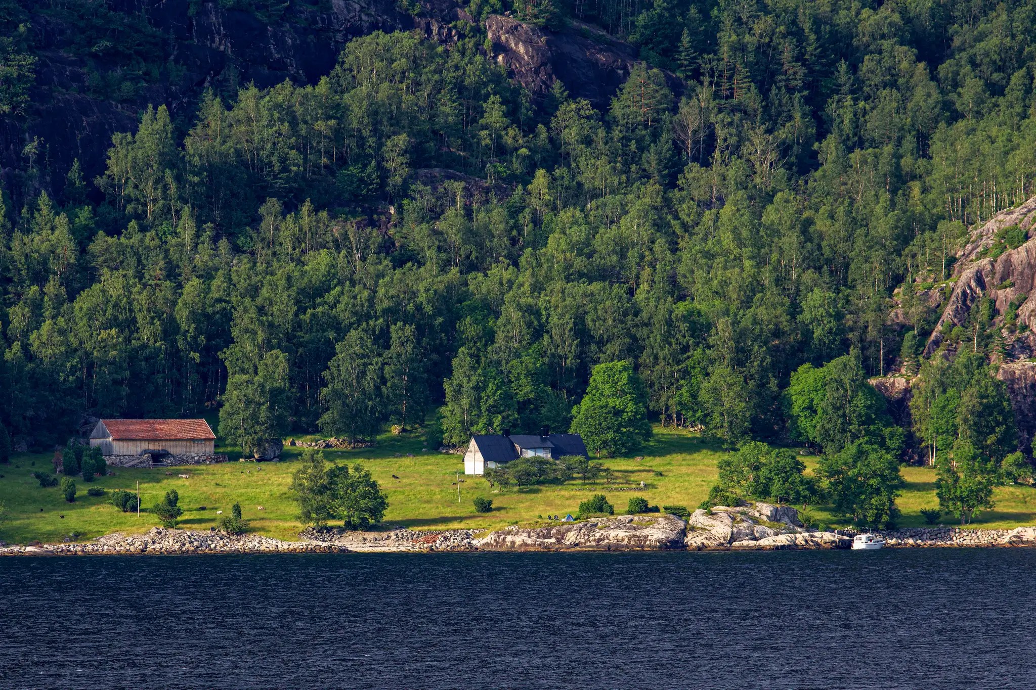 Kleine Häuser am Ufer eines Fjords vor dicht bewaldetem Hang