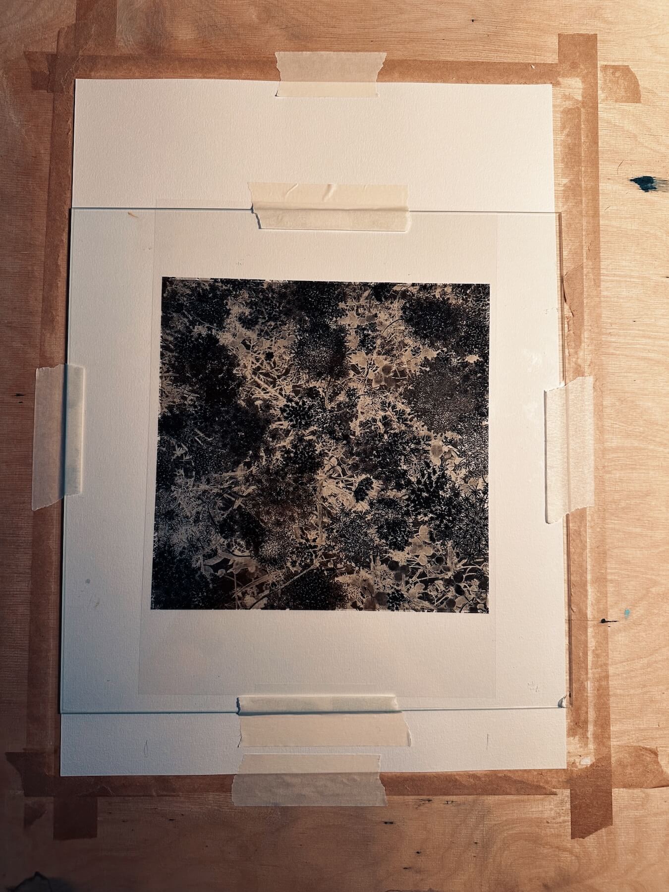 Processed with VSCO with u3 preset Matthias Maier | Stories | Week 31 2024 | Making cyanotypes