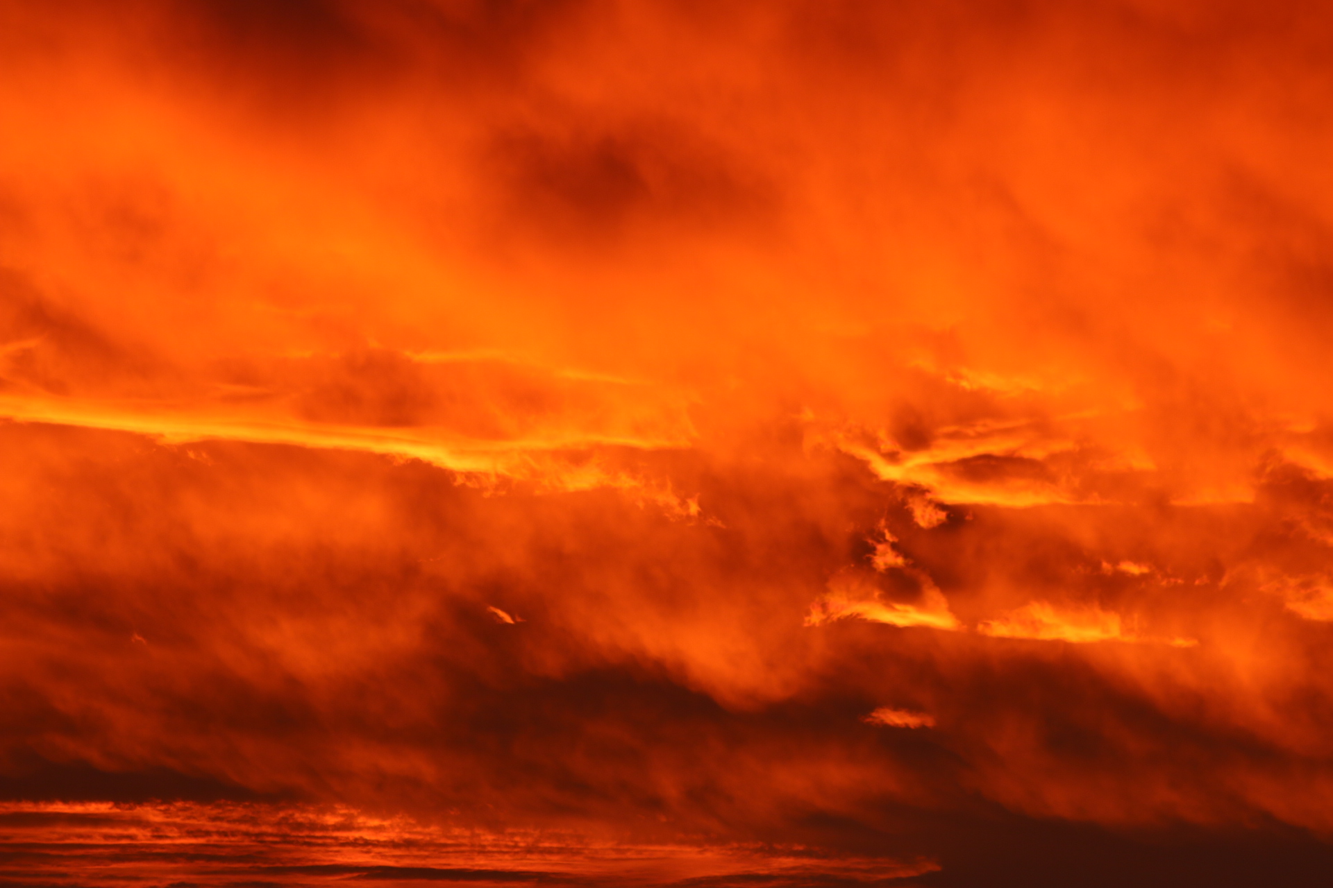 August.jpg?fit=1024,683&ssl=1