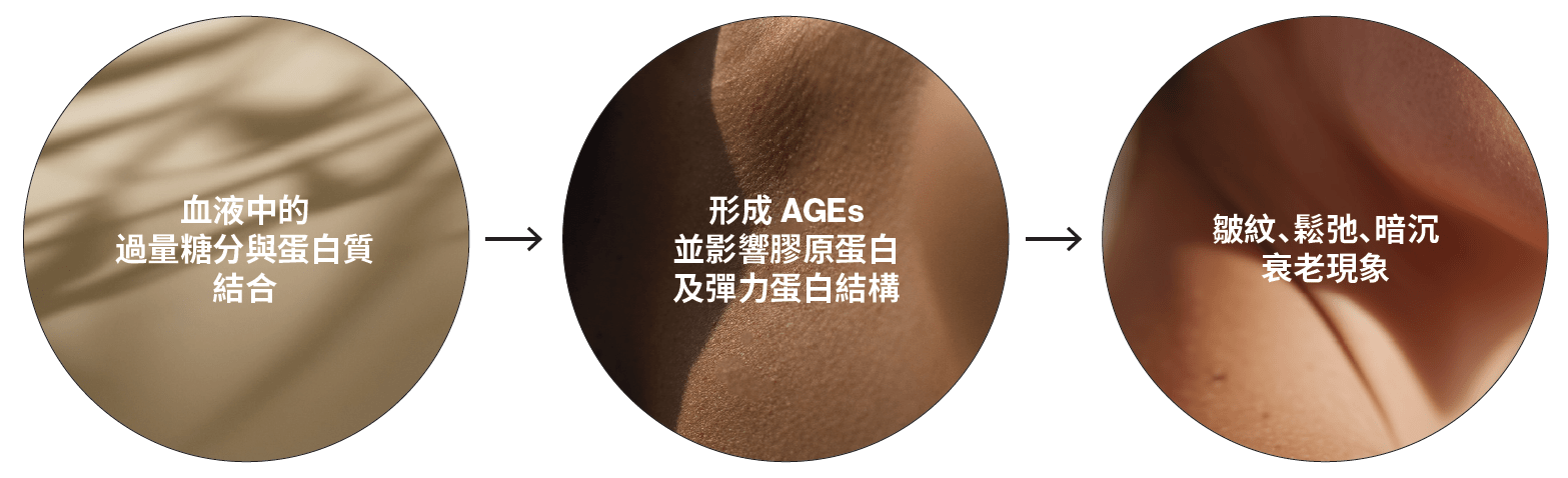 晚期糖基化終末產物 AGEs : 肌膚老化的關鍵