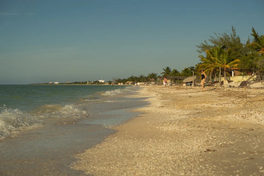 Celestun beach, Mexico