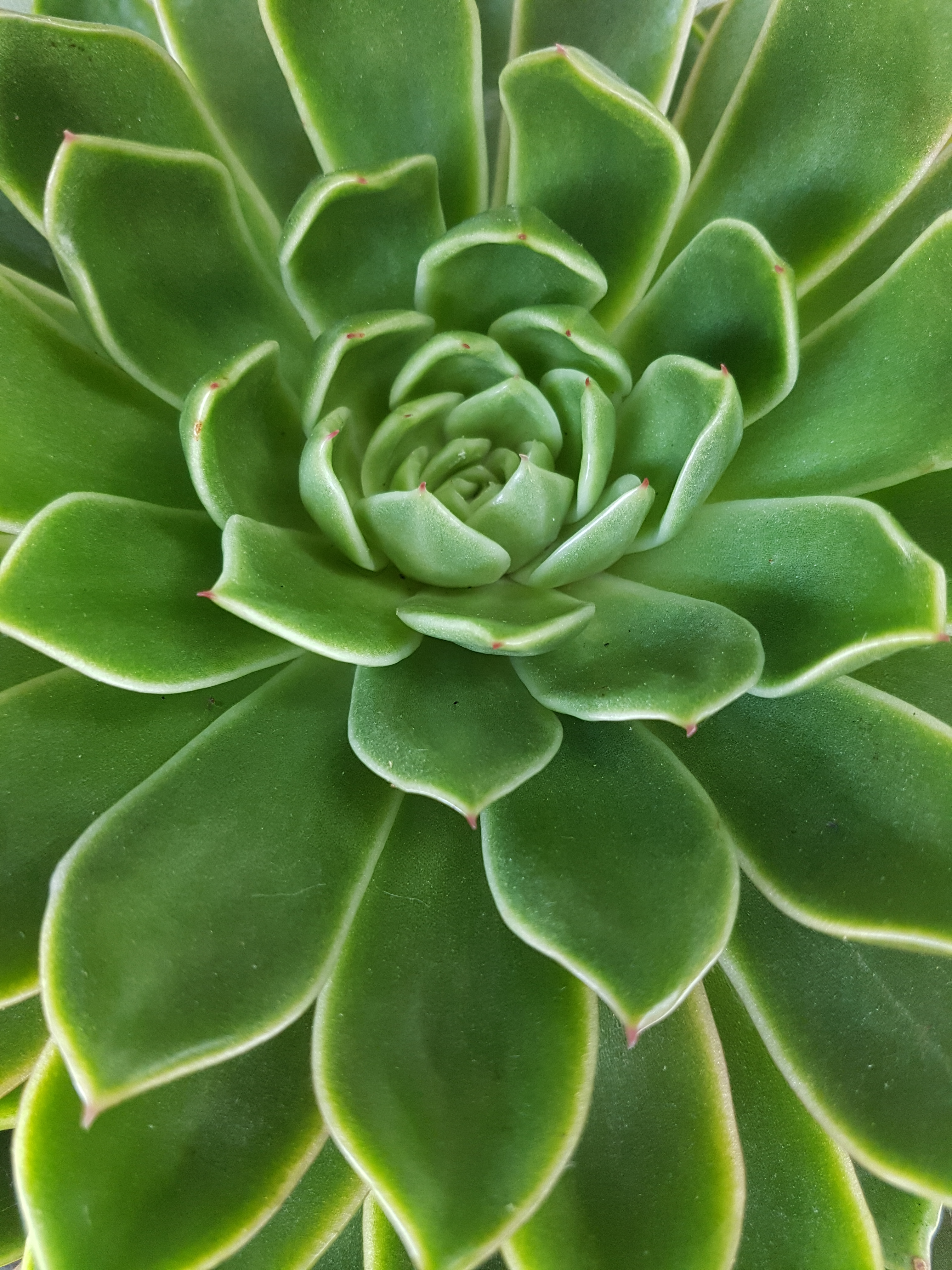 20171109_150709