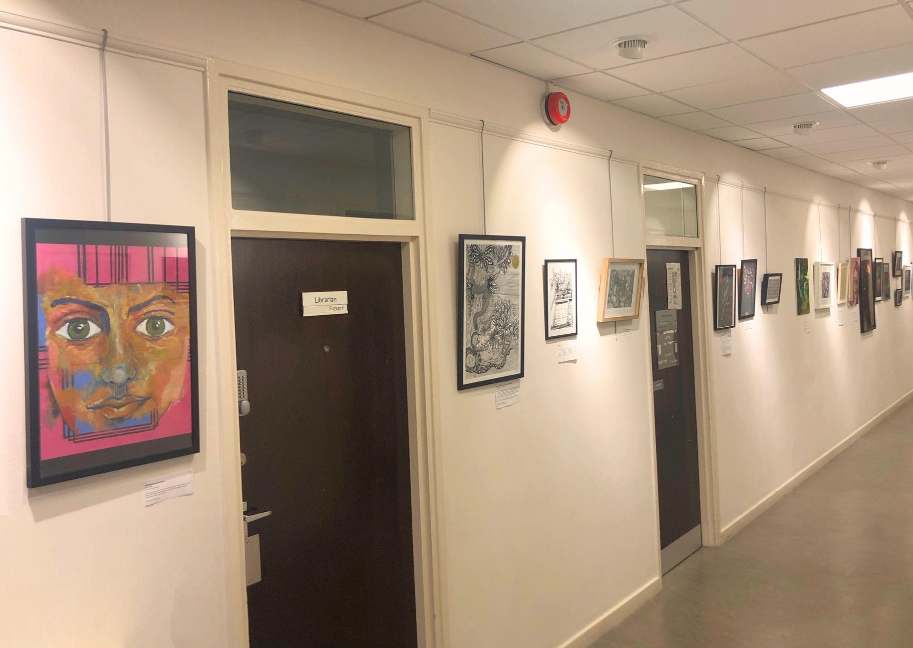 New exhibition Tavi Open 2025 has launched!