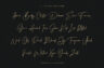 Gallery image item #4