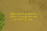 Gallery image item #9