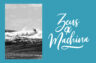 Gallery image item #5
