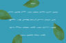 Gallery image item #2