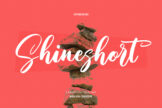 Product image of Shineshort Script Font