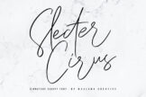 Product image of Slecter Cirus Signature Script Font