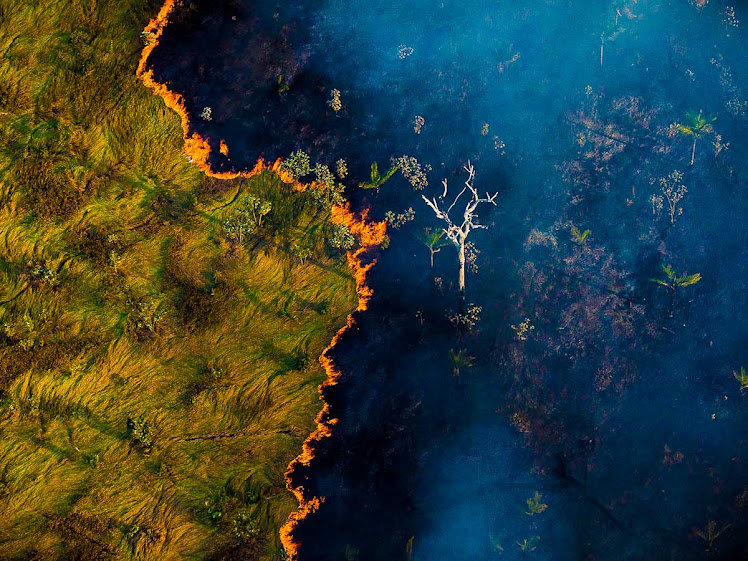 Maranhão tem queda de 25% no número de queimadas em setembro Maranhão tem queda de 25% no número de queimadas em setembro