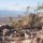 SJV WATER: Kern County supervisor predicts “death of SGMA” after groundwater bill is tabled