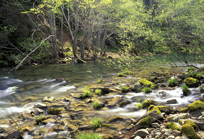 Raging rivers are replenishing historic Gold Rush spots